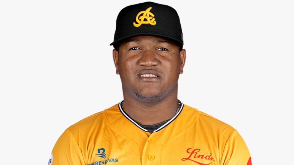 Enny Romero es elegido Lanzador del A&ntilde;o en el b&eacute;isbol dominicano
