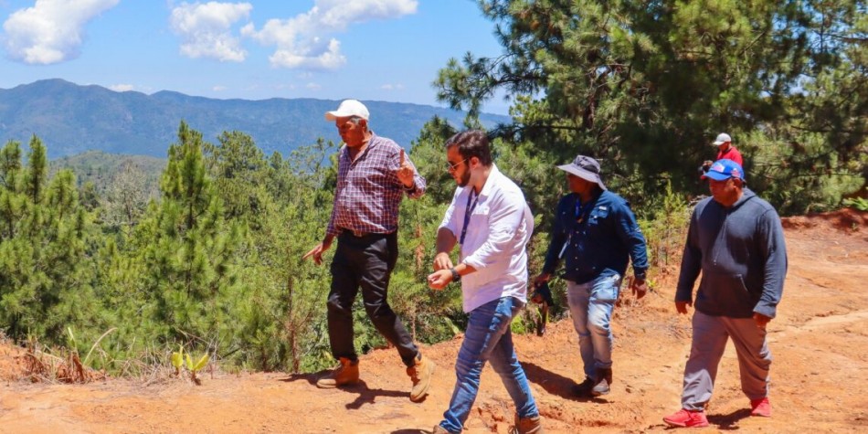 Medio Ambiente paraliza actividades en finca cafetalera de La Ci&eacute;nega de Manabao por il&iacute;citos ambientales