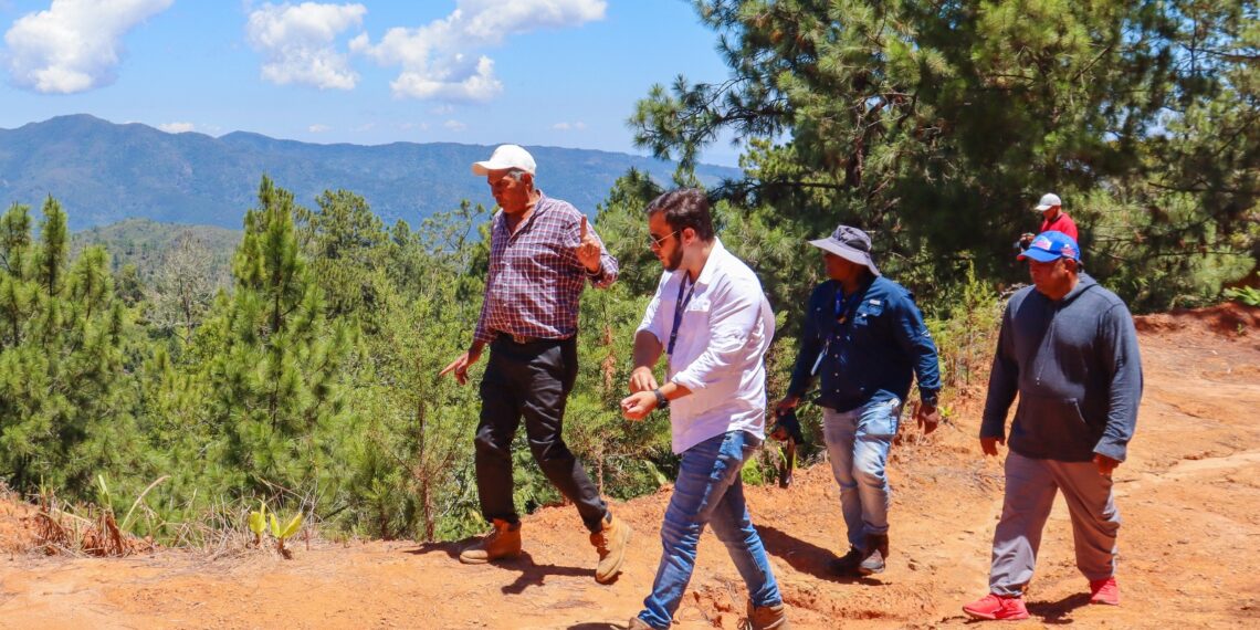 Medio Ambiente paraliza actividades en finca cafetalera de La Ci&eacute;nega de Manabao por il&iacute;citos ambientales