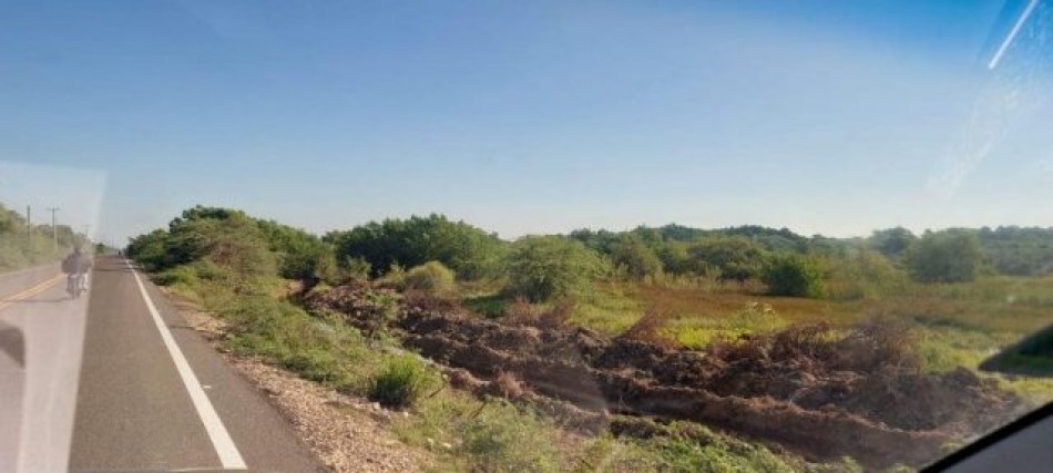 Construyen canal en medio de manglares en &aacute;rea protegida del Parque Nacional en Montecristi