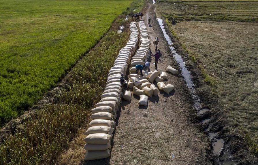 Iberoam&eacute;rica busca su soberan&iacute;a alimentaria