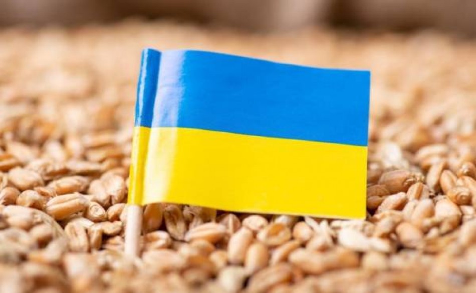 Ucrania export&oacute; 800.000 toneladas de alimentos en la &uacute;ltima semana