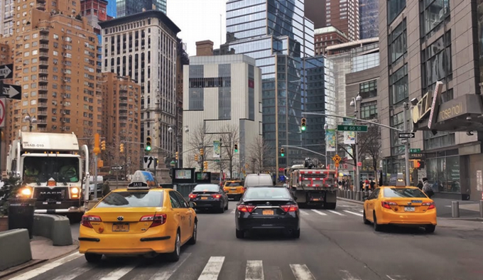 Nueva York busca experto mate ratas