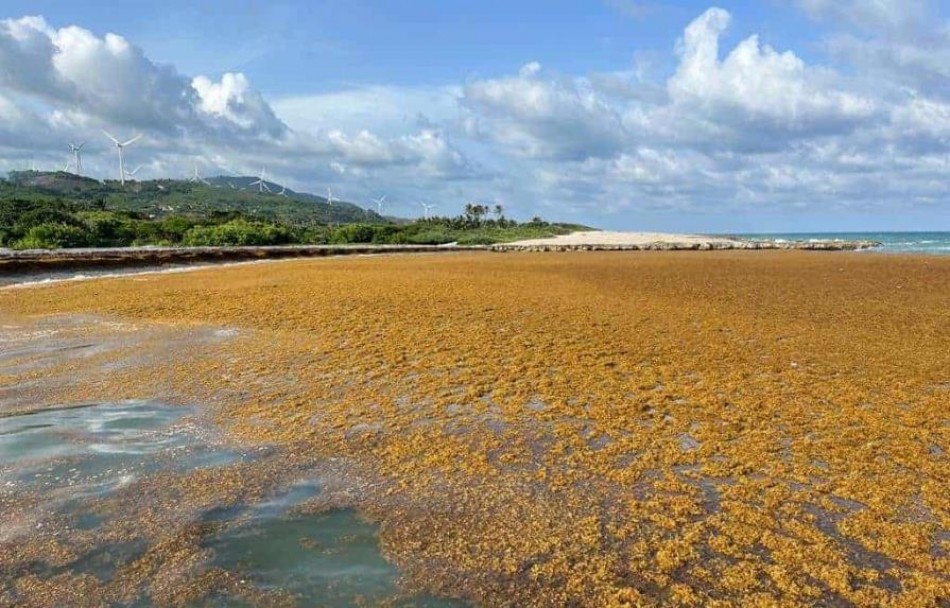 Rep&uacute;blica Dominicana ocupa el lugar 89 de 180 pa&iacute;ses en ranking de desempe&ntilde;o ambiental